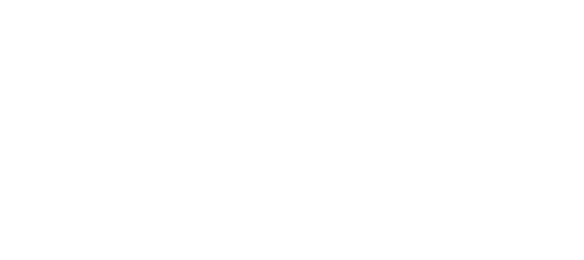 Ионесси